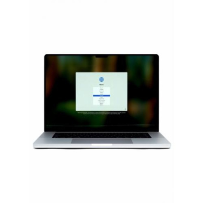 Ноутбук Apple MacBook Pro 16 (M4 Max 16C CPU, 40C GPU, 48Gb, 1Tb SSD), MX2W3, Silver